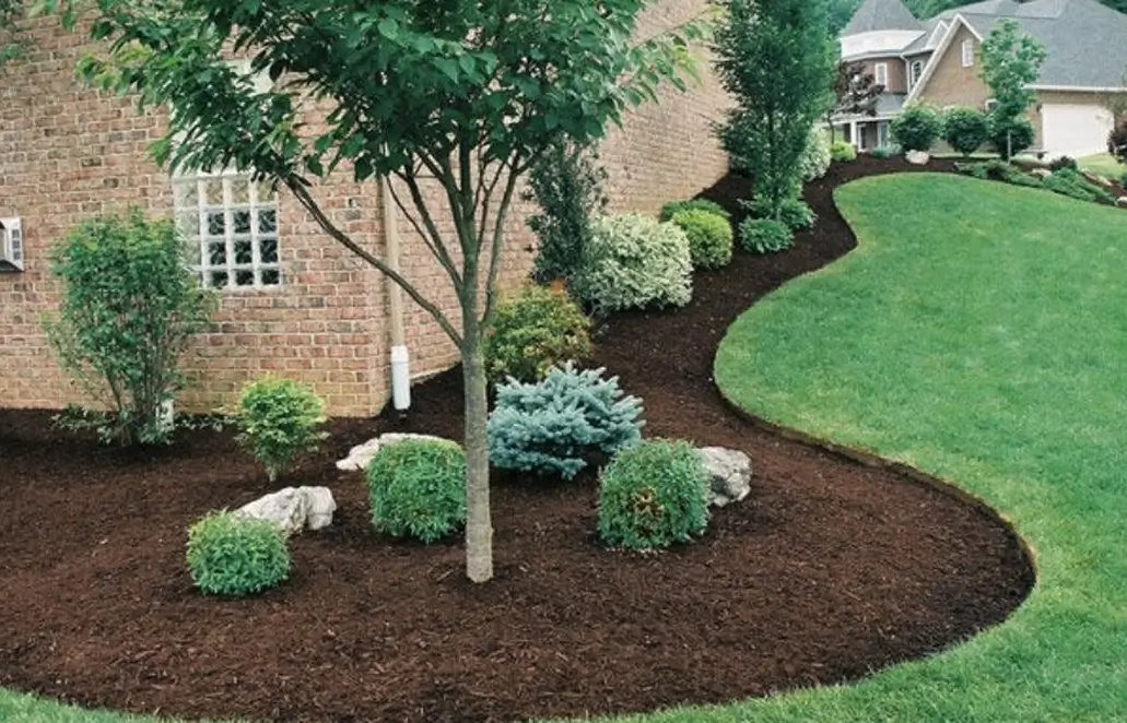Landscape and irrigation systems