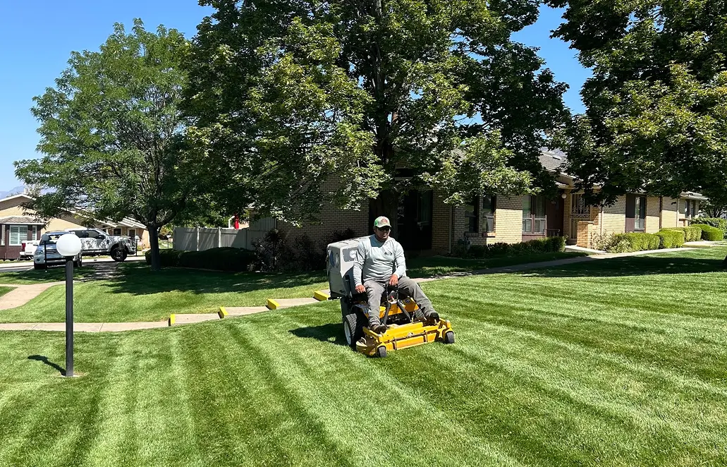 regular maintenance service